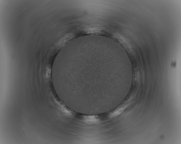 X0000094440281200711151412