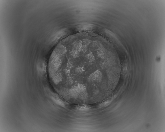 X0000094440282200711151412