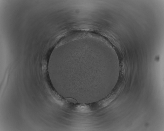 X0000094440283200711151412