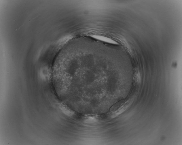 X0000094440285200711151412