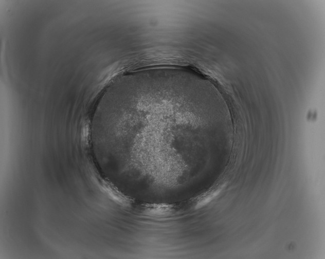 X0000094440288200711151412