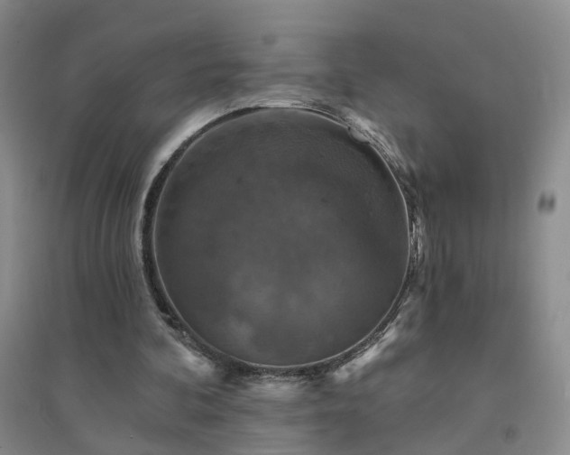 X0000094440292200711151411