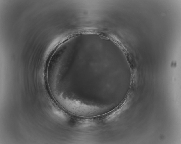 X0000094440293200711151411