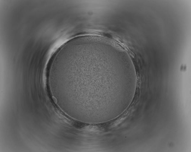X0000094440294200711151411