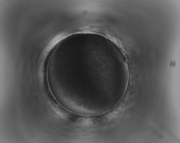 X0000094440295200711151411
