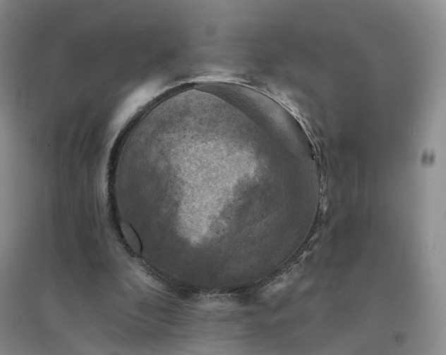 X0000094440296200711151411
