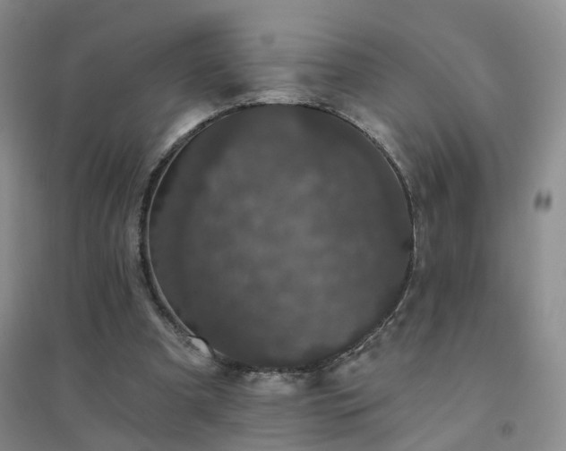 X0000094440297200711151411