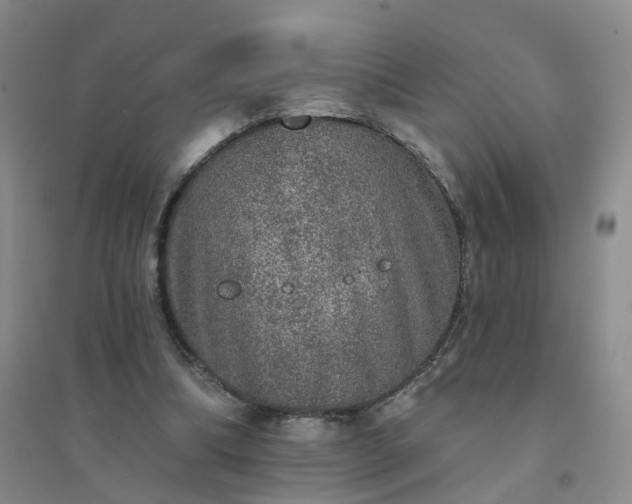 X0000094440298200711151411