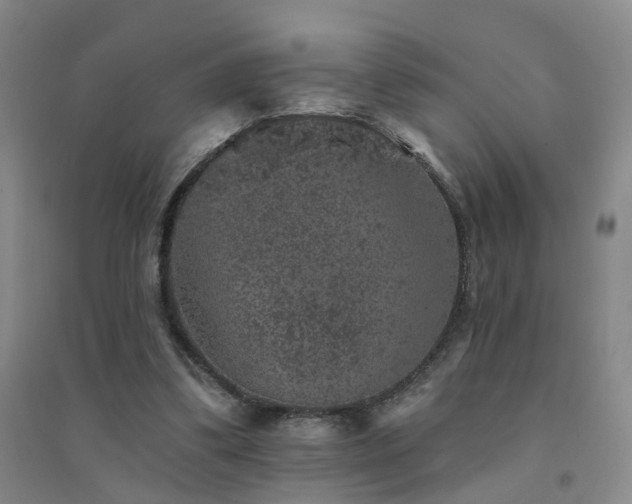 X0000094440299200711151411