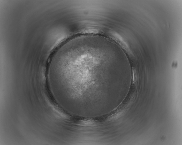 X0000094440300200711151411