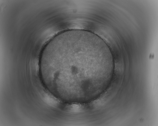 X0000094440302200711151411