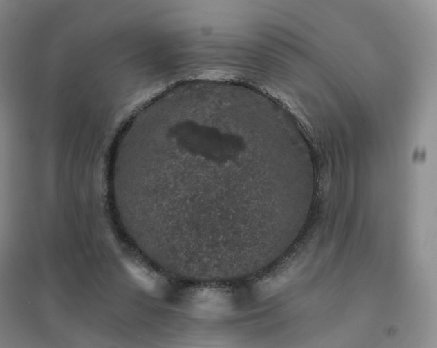 X0000094440303200711151411