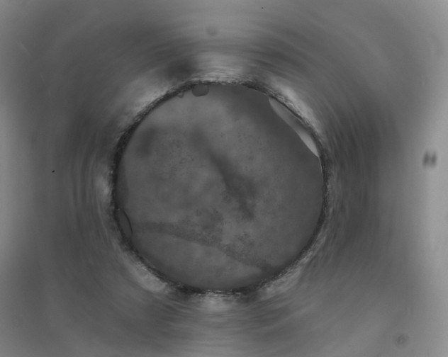 X0000094440305200711151411