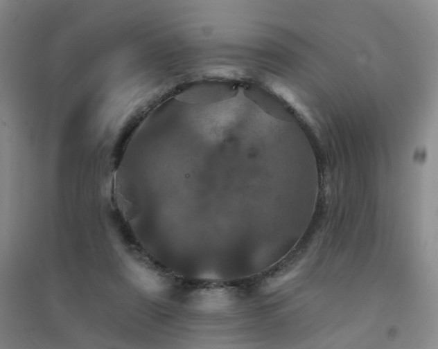 X0000094440307200711151411