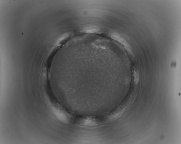 X0000094440308200711151411