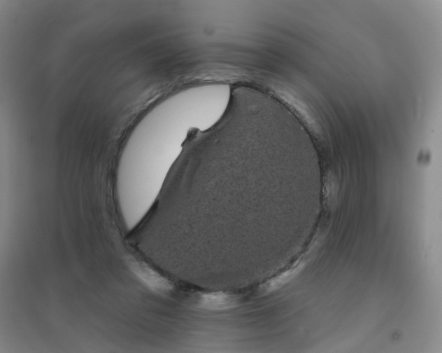 X0000094440309200711151411