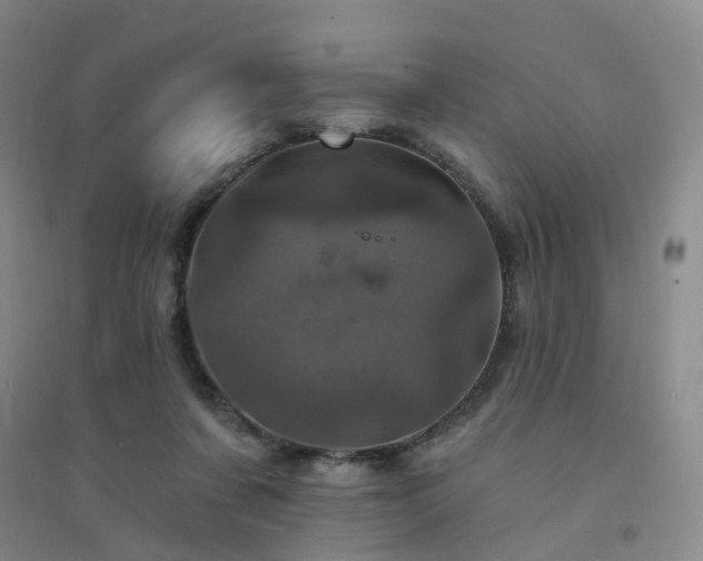 X0000094440311200711151411
