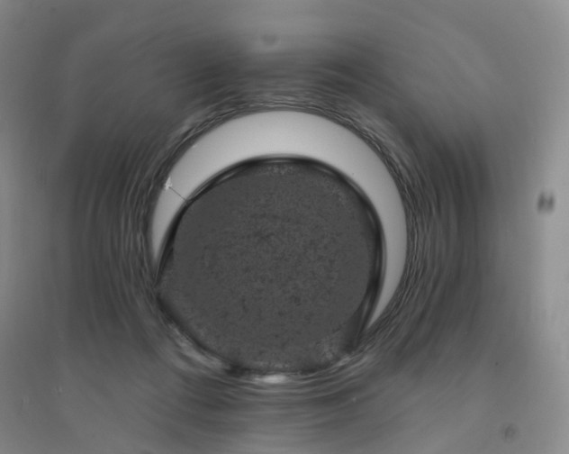 X0000094440312200711151411