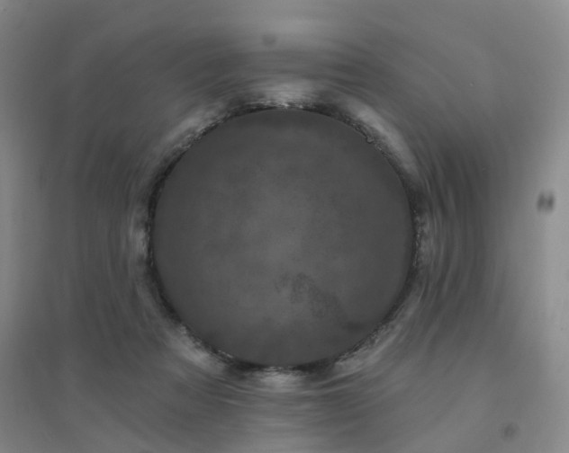 X0000094440313200711151411