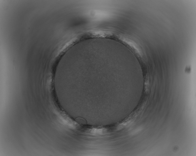 X0000094440314200711151411