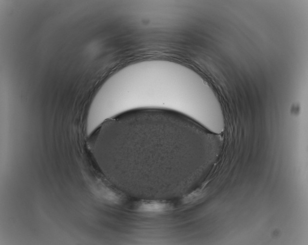 X0000094440316200711151411