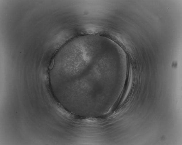 X0000094440317200711151411