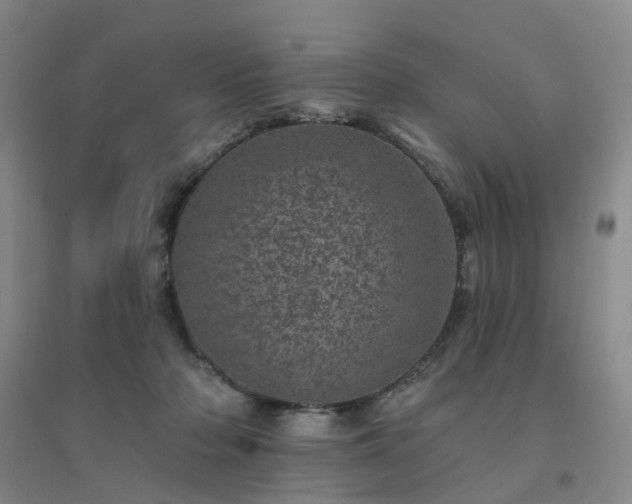 X0000094440318200711151411