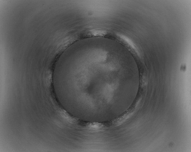 X0000094440321200711151411