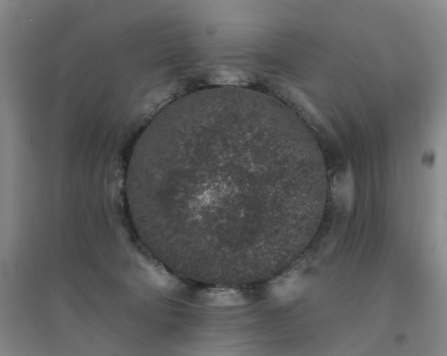 X0000094440322200711151411
