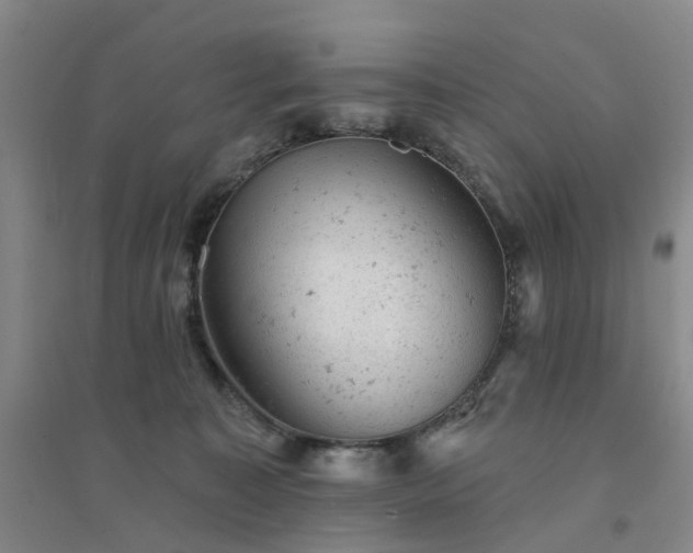 X0000094440323200711151410