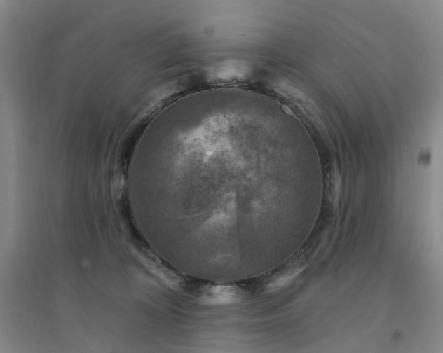 X0000094440324200711151410