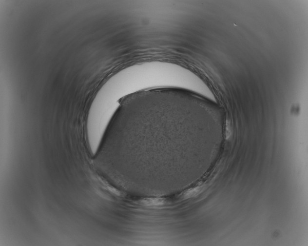 X0000094440328200711151410