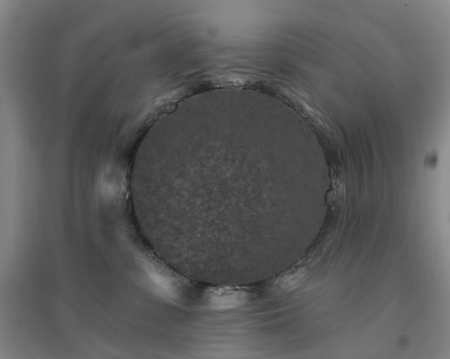 X0000094440331200711151410