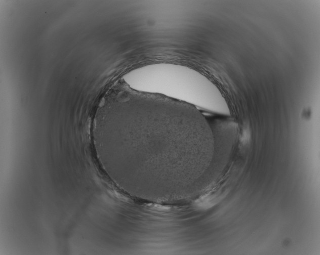 X0000094440332200711151410