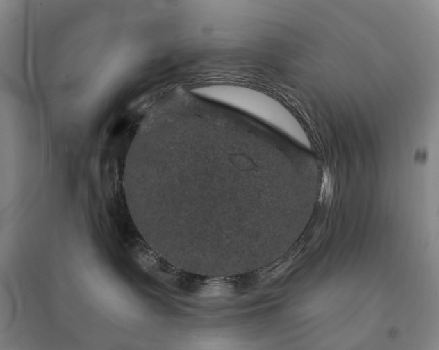 X0000094440335200711151410