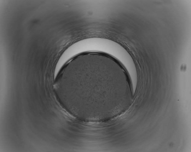 X0000094440336200711151410