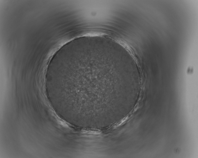 X0000094440337200711151410