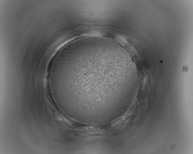 X0000094440338200711151410