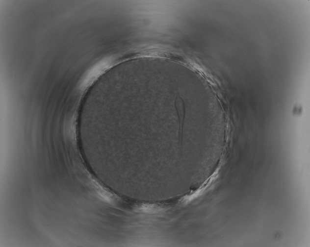 X0000094440341200711151410