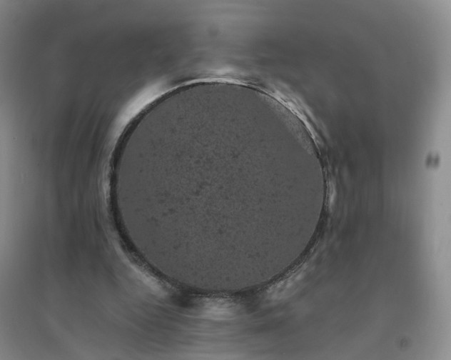 X0000094440344200711151410