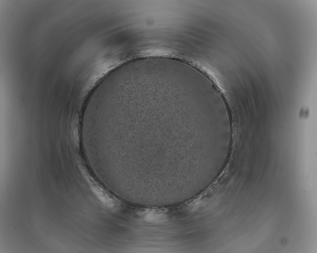X0000094440345200711151410