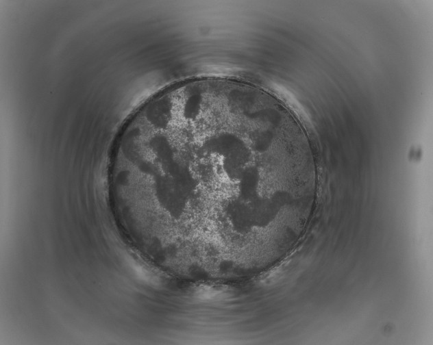 X0000094440346200711151410