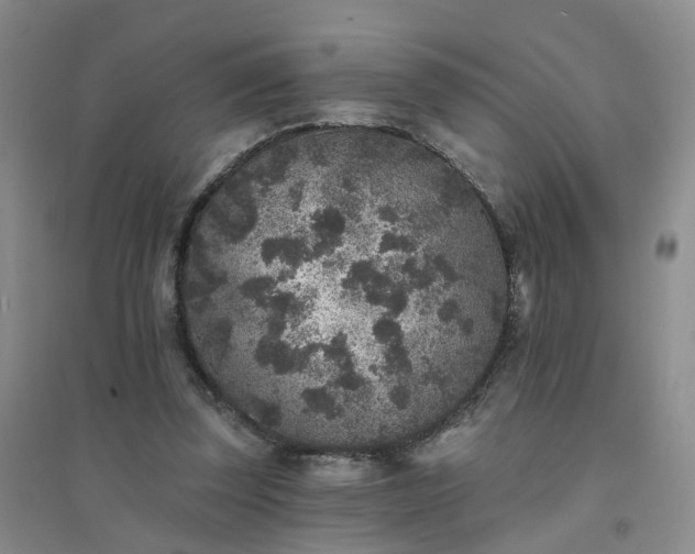 X0000094440347200711151410