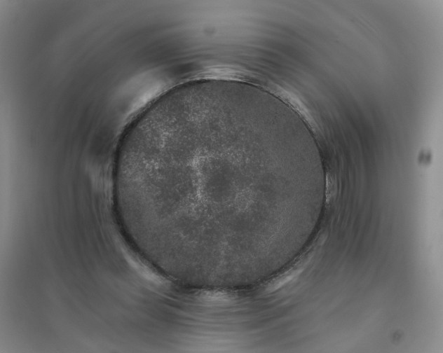 X0000094440349200711151410