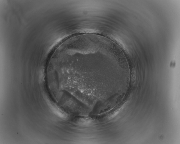 X0000094440351200711151410