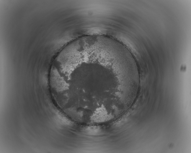 X0000094440353200711151410