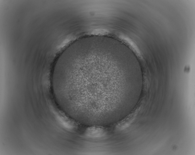 X0000094440354200711151410