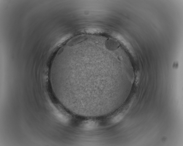 X0000094440356200711151410