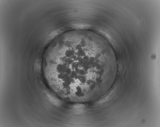 X0000094440357200711151410