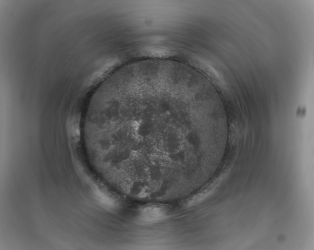 X0000094440358200711151410